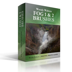 Fog Collection : The Complete Kit