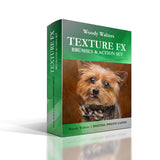 Texture FX Brush and Action Set