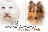 Instant Paintings: Painted Pets