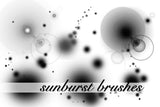 SunBurst Brushes